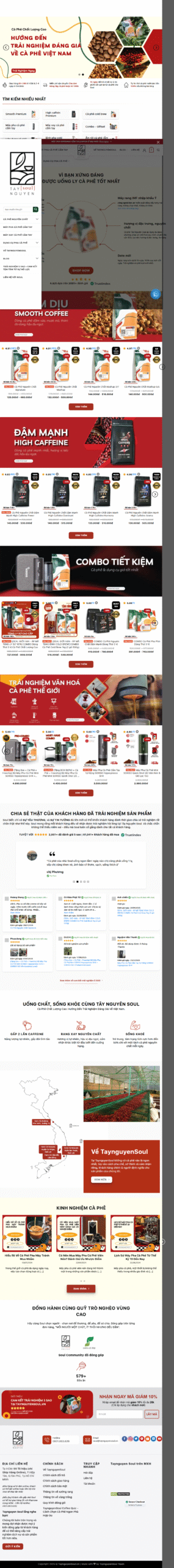 dự án thiết kế website marketing thuê ngoài vtmo 1 Dịch Vụ Marketing Thuê Ngoài 113